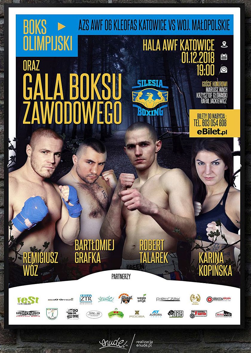 Boks Olimpijski i Zawodowy na Gali Silesia Boxing w Katowicach